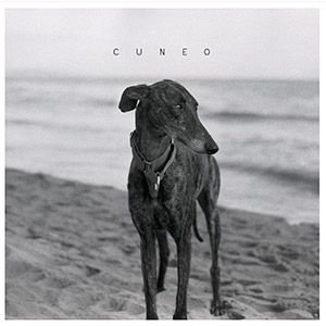 reseña disco cuneo