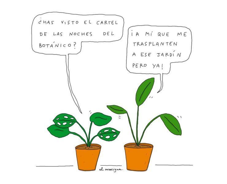 resumen-noticias-musica-independiente