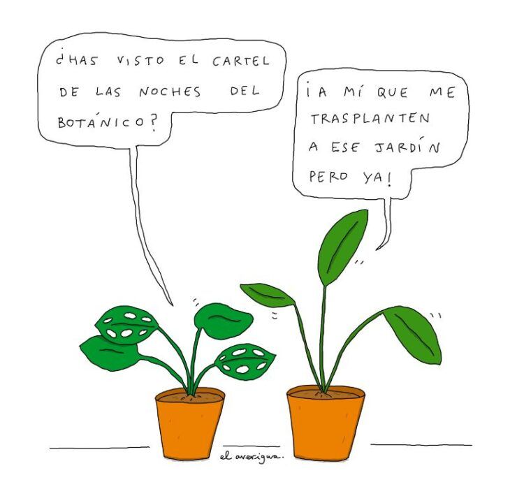 resumen-noticias-musica-independiente