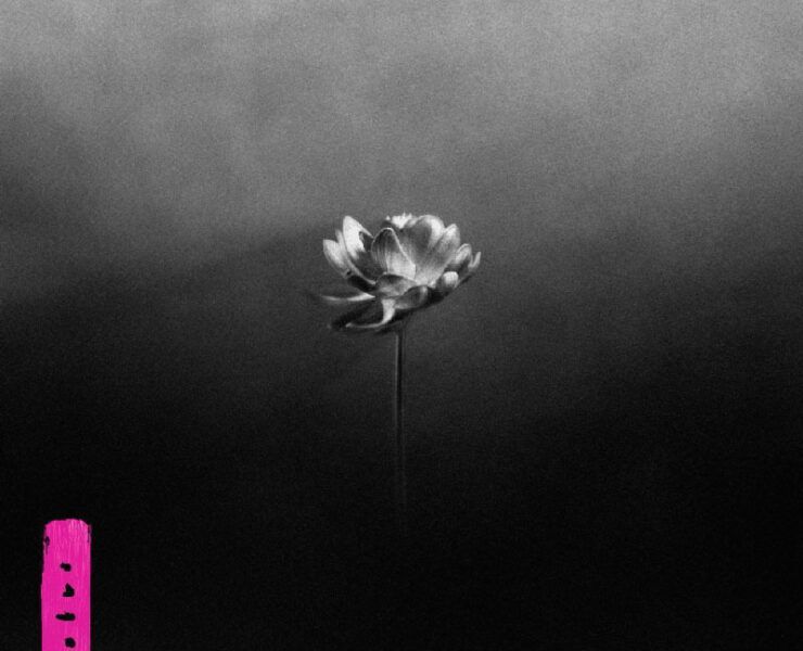 critica nuevo disco little simz lotus