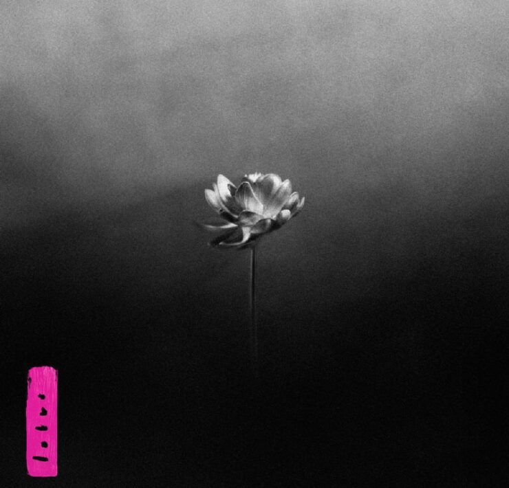 critica nuevo disco little simz lotus