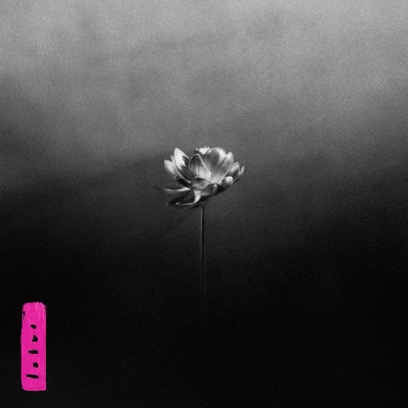 critica nuevo disco little simz lotus