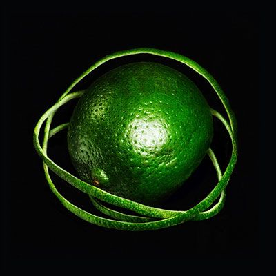 big thief double infinity everlong 