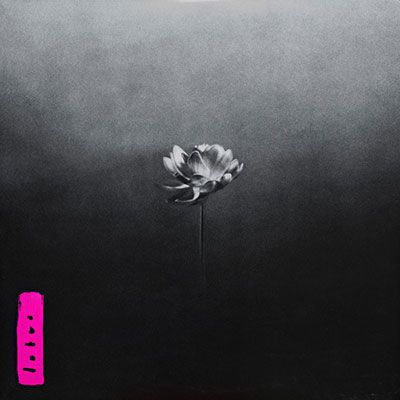 little simz lotus everlong