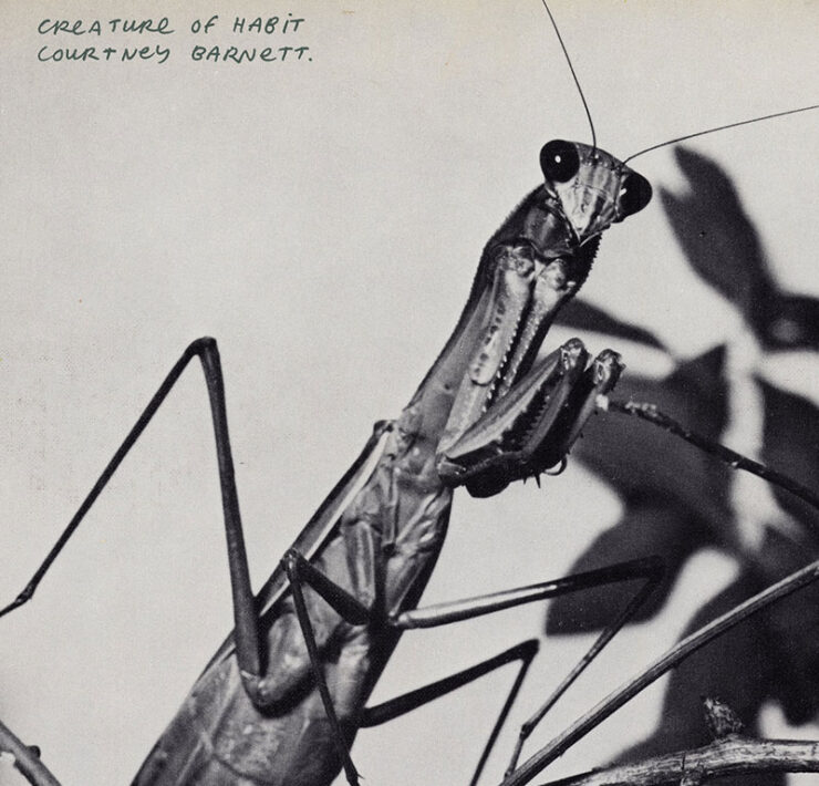 courtney barnett creature of habit critica disco