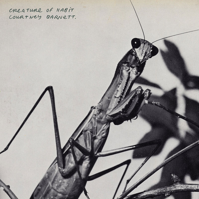 courtney barnett creature of habit critica disco