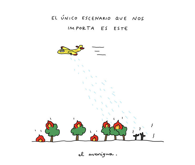 incendios everlong dominical