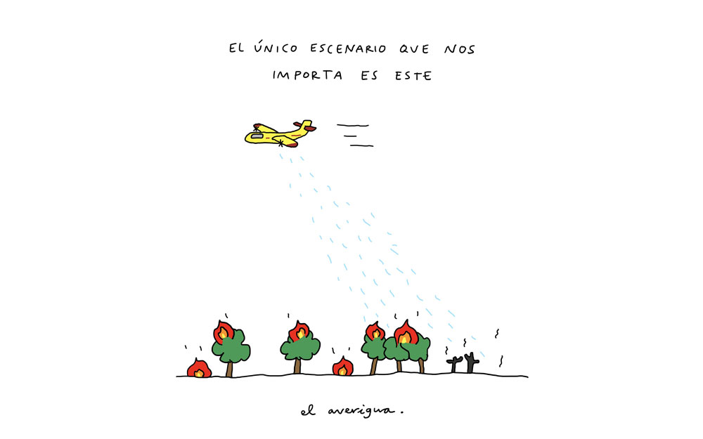 incendios everlong dominical